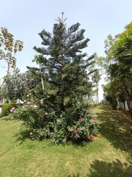Вилла Achal Farm जंगल में मंगल Гургаон Экстерьер фото